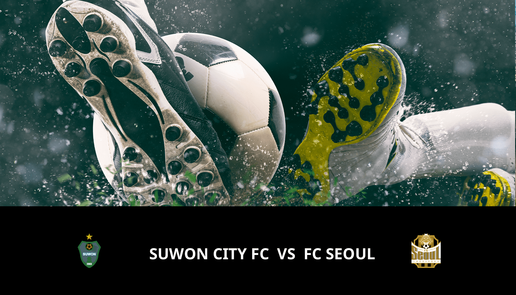 Pronostic Suwon City FC VS FC Seoul du 30/04/2024 Analyse de la rencontre